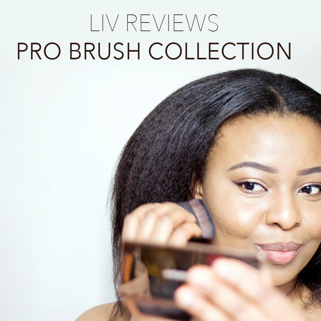 Blogger Review: Pro Brush Collection