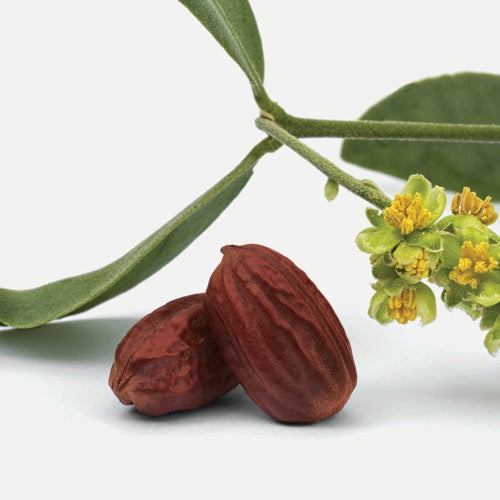 Jojoba Esters